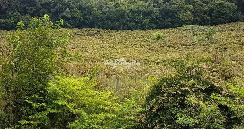 Terreno à venda no Desvio Rizzo, Caxias do Sul