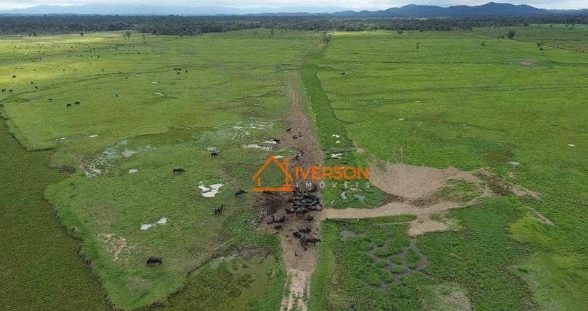 Fazenda à venda na Avenida Castelo Branco, 1, Centro, Registro