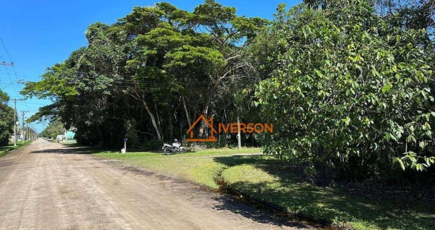 Terreno em condomínio fechado à venda na Rua Quatro, 907, Jardim São Luis, Peruíbe