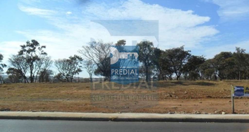 Terreno Residencial 0 quarto para Locação Jardim Santa Maria II, São Carlos