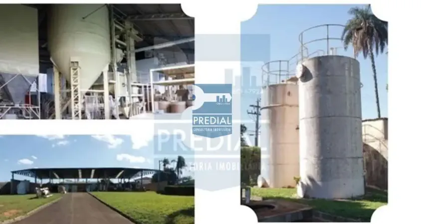 Barracão / Galpão / Depósito para alugar na Avenida Capitão Luiz Brandão, Vila Vista Alegre, São Carlos