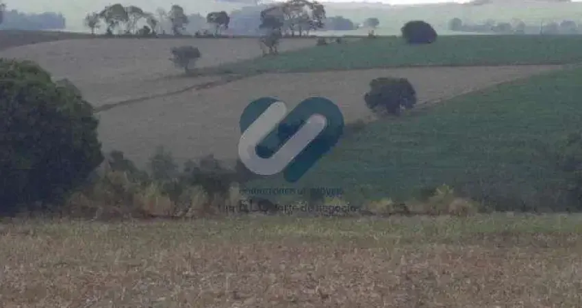 Chácara / sítio com 1 quarto à venda na Avenida das Maritacas, sn, Indusville, Londrina