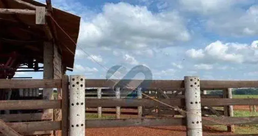 Chácara / sítio com 1 quarto à venda na Não informado, S/N, Zona Rural, Eldorado