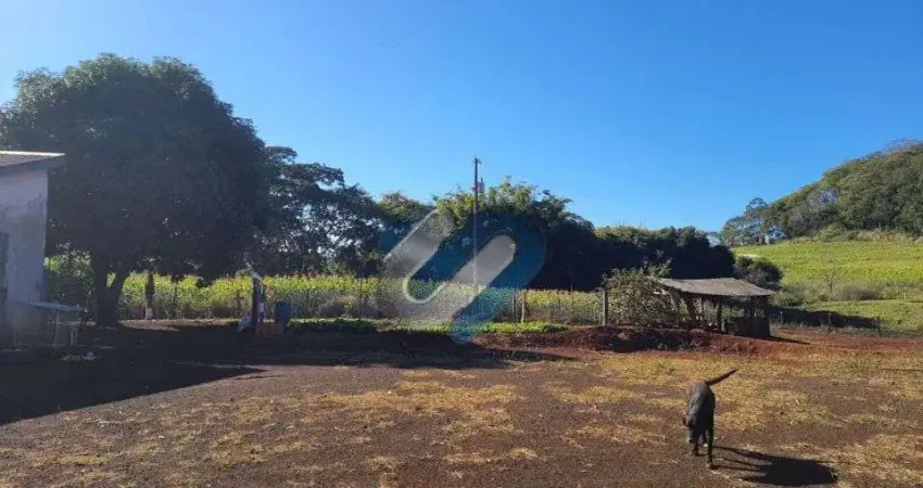 Chácara / sítio com 1 quarto à venda na PATRIMONIO TIGRINHO ASSAI, S/N, Zona Rural, Assaí