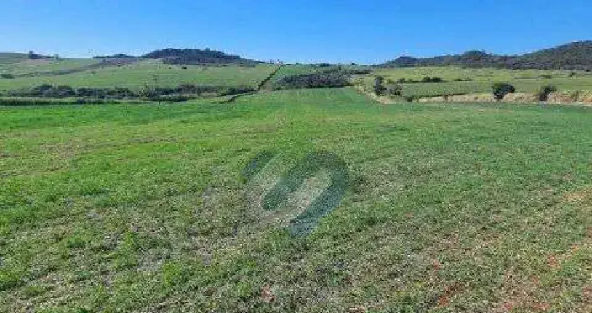 Chácara / sítio com 1 quarto à venda na PATRIMONIO JANGADA, S/N, Zona Rural, Assaí