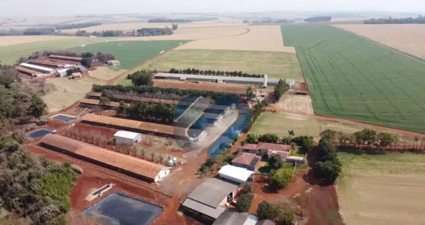Chácara / sítio com 1 quarto à venda na Rua Independência, S/N, Novo Sobradinho, Toledo