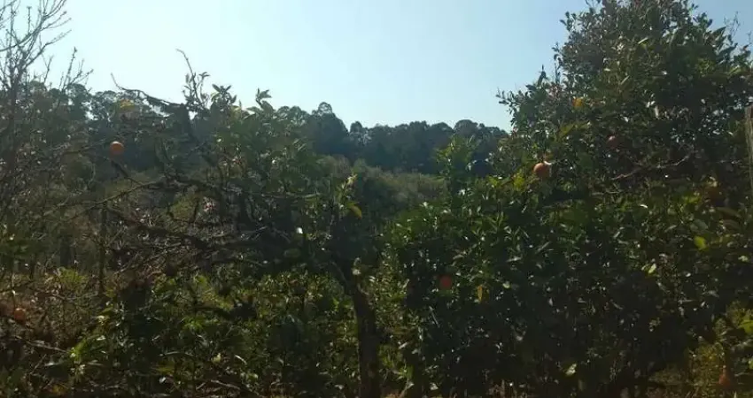 Casa com 2 quartos à venda em Eugênio Ferreira, Canela