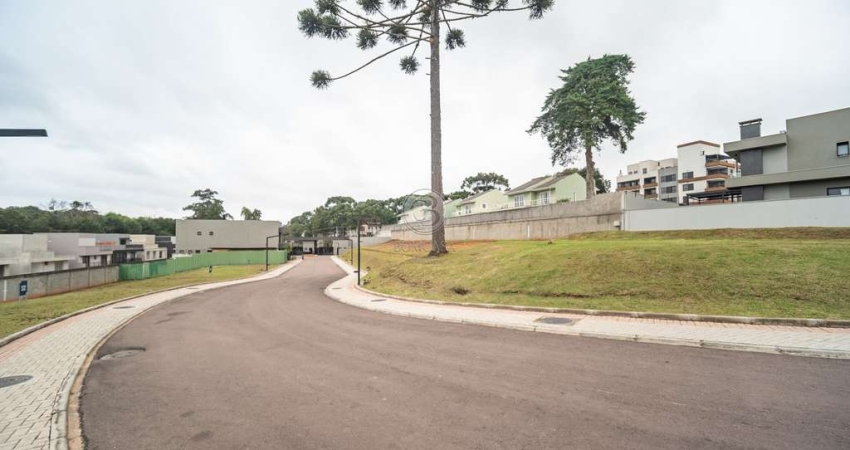 Terreno à venda na Avenida Cândido Hartmann, 5156, Santo Inácio, Curitiba