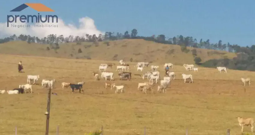 Fazenda com 4 dormitórios à venda, 968000 m² por r$ 15.000.000,00 - anhumas - vargem/sp
