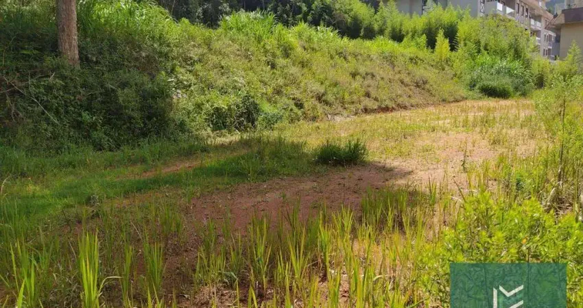Terreno à venda, 20000 m² por R$ 2.000.000,00 - Várzea - Teresópolis/RJ