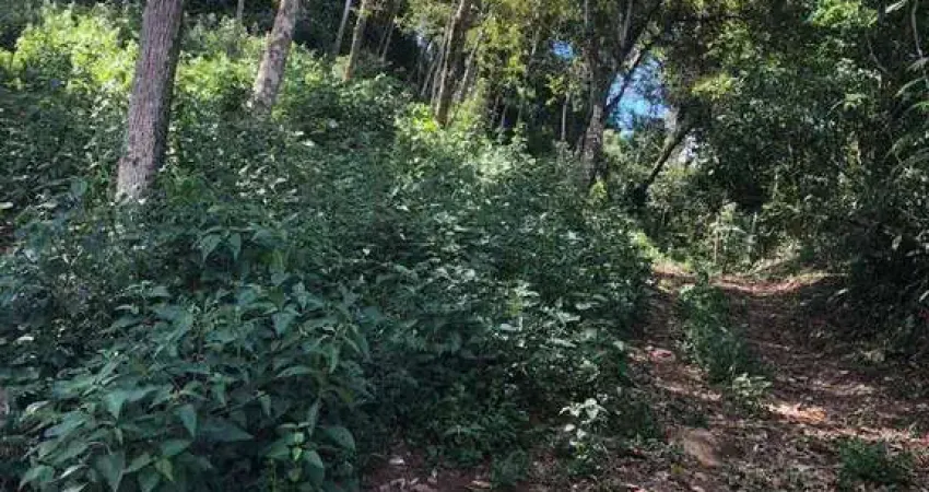 Terreno à venda, 4000 m² por R$ 150.000,00 - Pessegueiros - Teresópolis/RJ