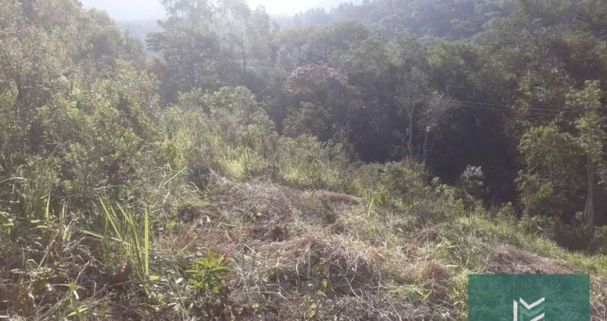 Terreno à venda, 1580 m² por R$ 100.000,00 - Jardim Salaco - Teresópolis/RJ