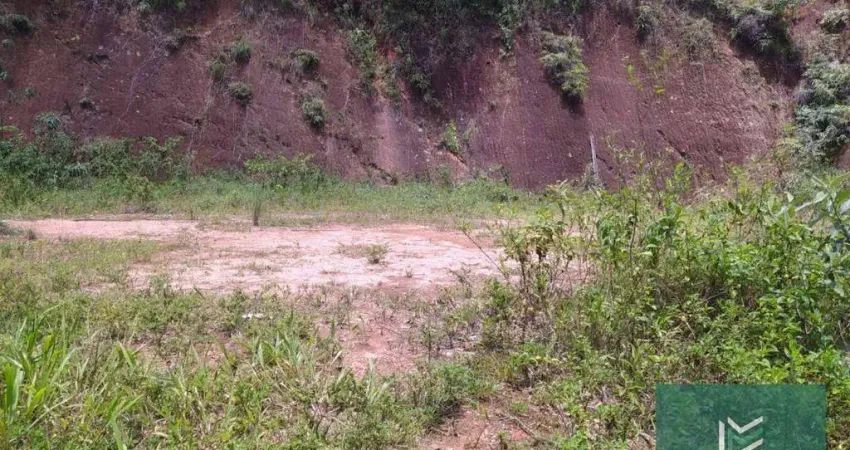 Terreno à venda, 2667 m² por R$ 350.000,00 - Carlos Guinle - Teresópolis/RJ