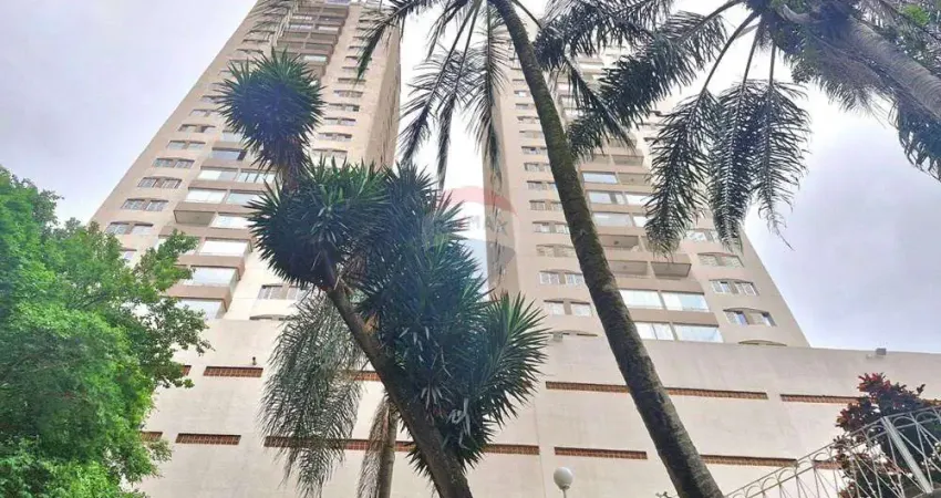 Apartamento 2 dormitórios 1 suíte 1 vaga à venda tucuruvi zona norte são paulo