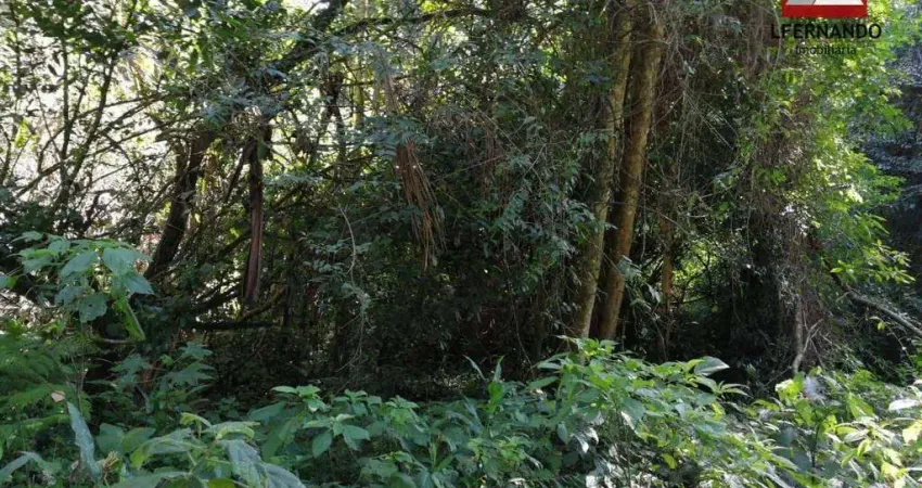 Terreno à venda, 30.000 m² por R$ 400.000 - Centro - Luiz Alves/SC