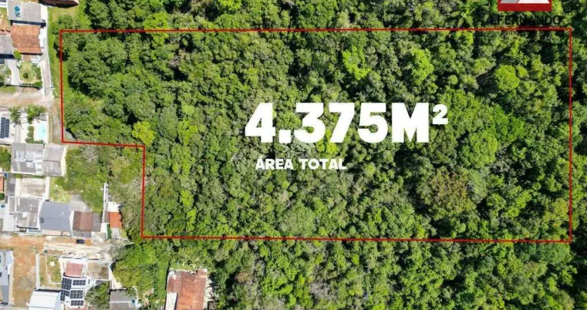 Terreno à venda, 4375 m² por r$ 1.790.000,00 - praia de são miguel - penha/sc