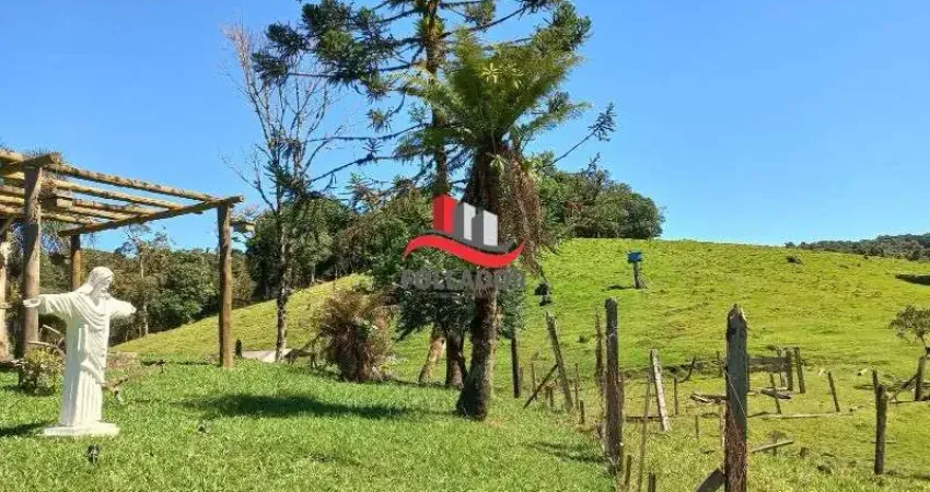 Terreno à venda na Zona Rural, São José dos Pinhais