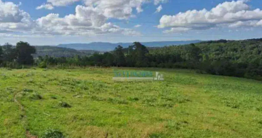 Terreno à venda, 570000 m² por R$ 2.600.000,00 - Santa Cruz da Concórdia - Taquara/RS
