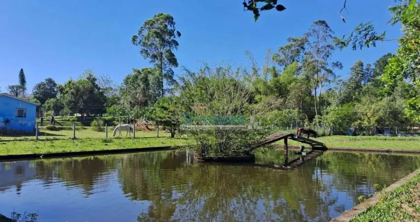 Sítio com 3 dormitórios à venda, 3425 m² por r$ 1.272.000,00 - sítio ipiranga - cachoeirinha/rs