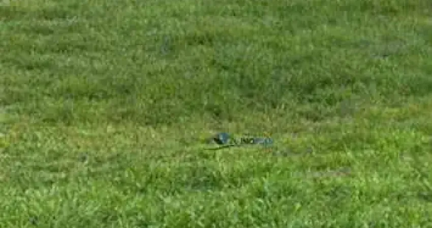 Terreno em condomínio fechado à venda na Avenida Comend. Gumercindo Barranqueiros, 1215, Jardim Santa Teresa, Jundiaí