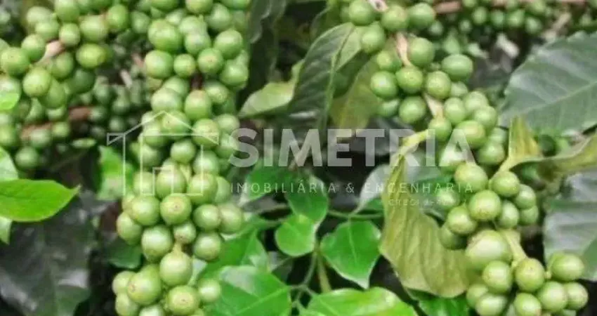 VENDA – FAZENDA DE CAFÉ, PECUÁRIA, GRÃOS E FRUTICULTURA NA REGIÃO DE IBIÁ - MG