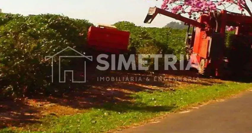 Fazenda com 2 salas à venda na Rodovia Comandante João Ribeiro de Barros, km 412, Zona Rural, Garça