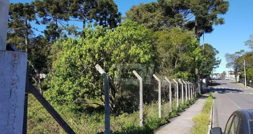 Terreno à venda, 5856 m² por R$ 7.905.000,00 - Centro - Campo Largo/PR