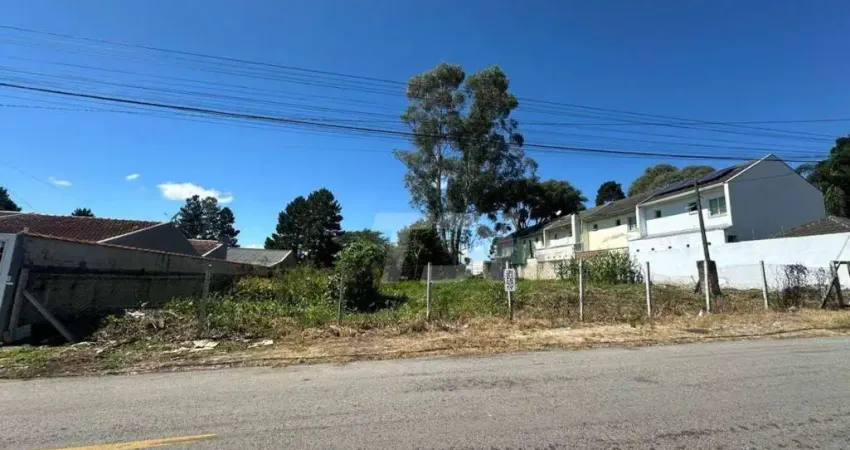 Terreno à venda, 1200 m² por R$ 1.200.000,00 - Roseira - São José dos Pinhais/PR
