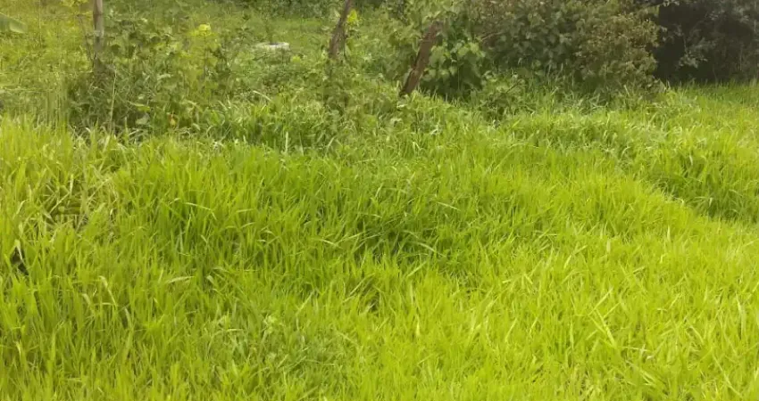 Chácara com 25.000 m² | santo antônio do descoberto | r$ 250.000