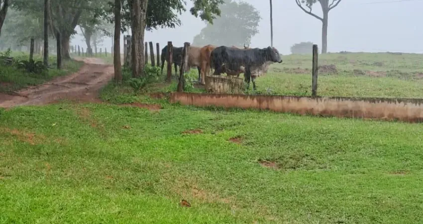 Belíssima chacara com 5 suites toda em laje, juntamente aos 72,600m