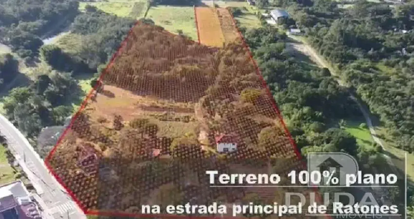 Sítio em Ratones com 4 casas.