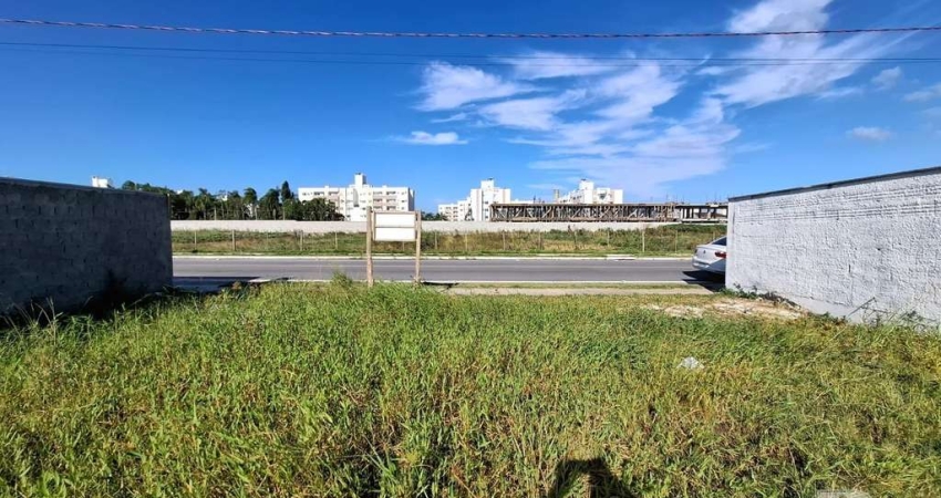 Terreno à venda na Rua Vidal Vicente Andrade, Forquilhas, São José