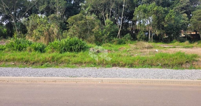 Terreno de 630 m2,  São Francisco do Sul, Bairro Reta, Rua Asfaltada.