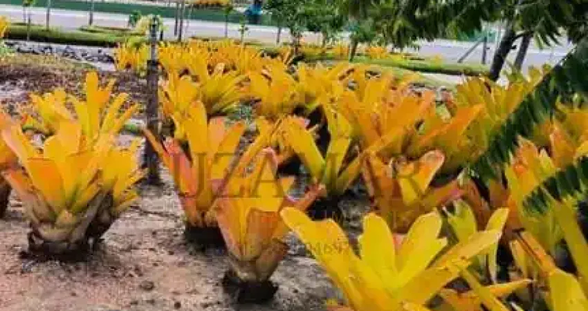 Terreno à venda na GREENVILLE, 00, Praia Novo Prado, Prado
