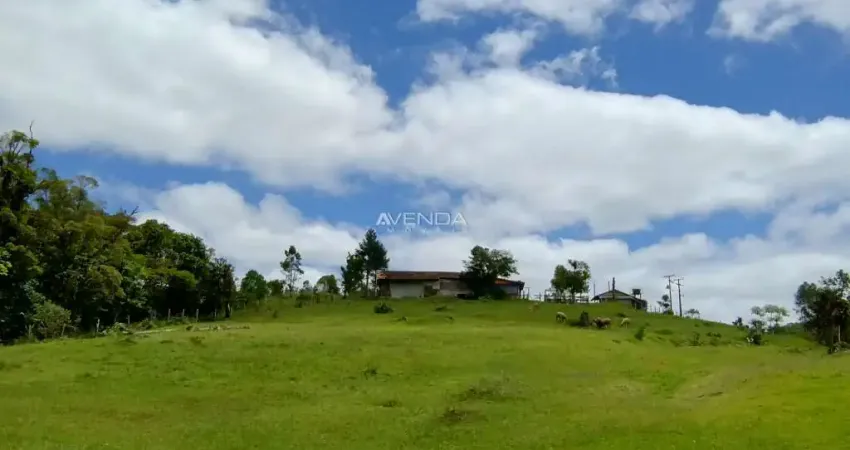 Chácara / sítio com 6 quartos à venda na BR116, km 25, Centro, Campina Grande do Sul
