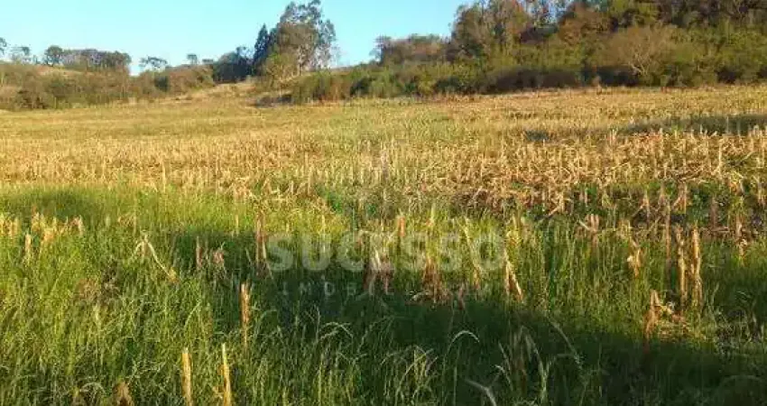 Chácara / sítio à venda em Zona Rural, Cascavel 