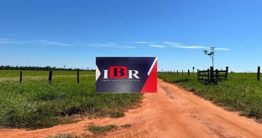 Fazenda em Anaurilândia - MS