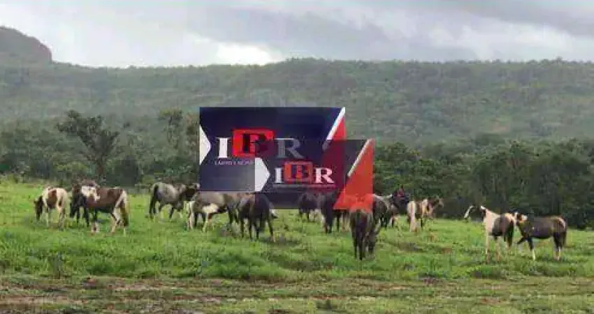 Fazenda à venda na Zona Rural, Novo São Joaquim 