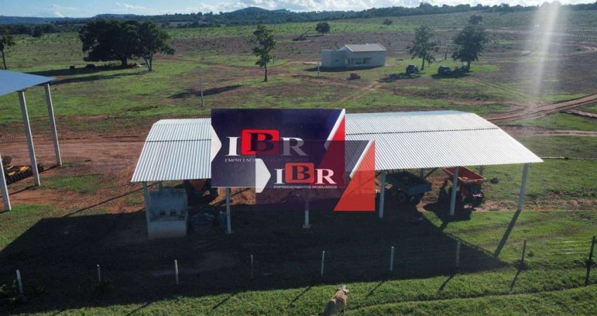 Fazenda em Pedro Gomes - MS