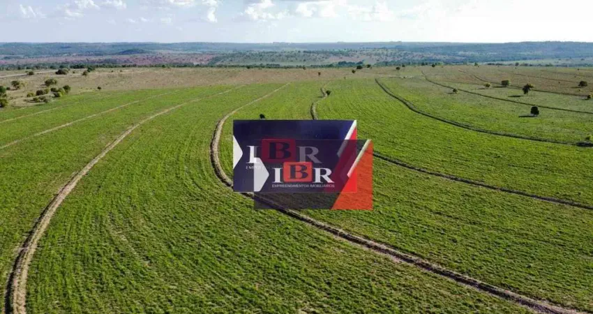 Fazenda à venda na Zona Rural, Coxim 