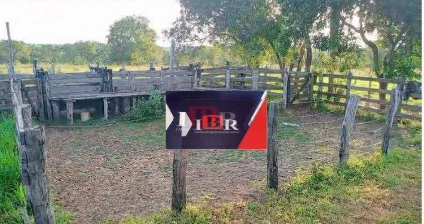 Fazenda em Camapuã - MS
