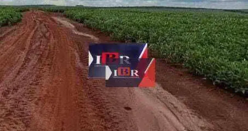 Fazenda à venda na Zona Rural, Naviraí 