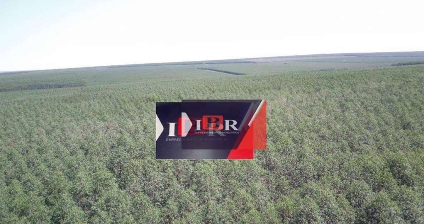 Fazenda em Ribas do Rio Pardo - MS