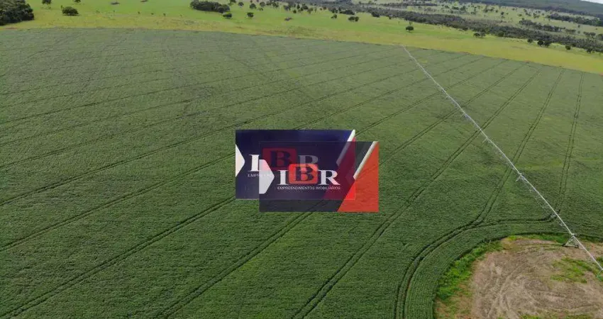 Fazenda em Ribas do Rio Pardo - MS