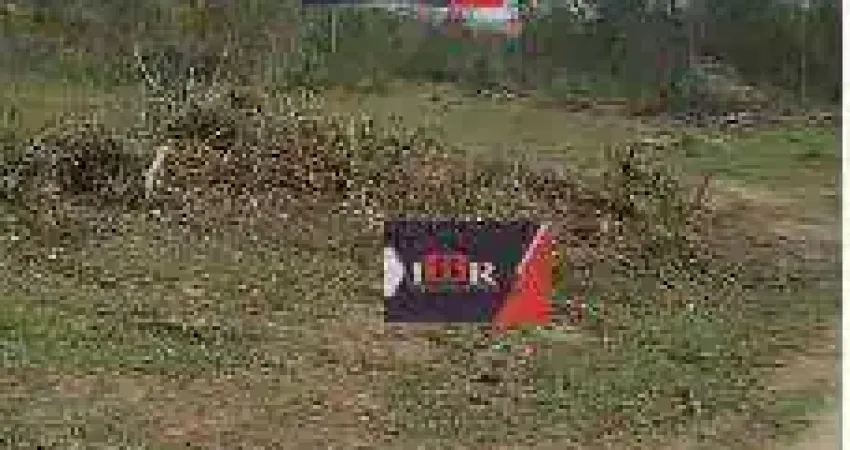 Fazenda à venda na Zona Rural, Terenos 