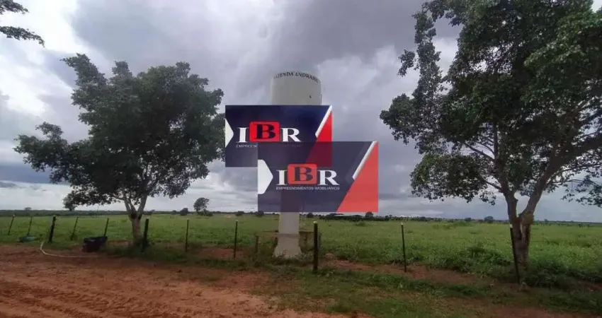 Fazenda em Sonora - MS