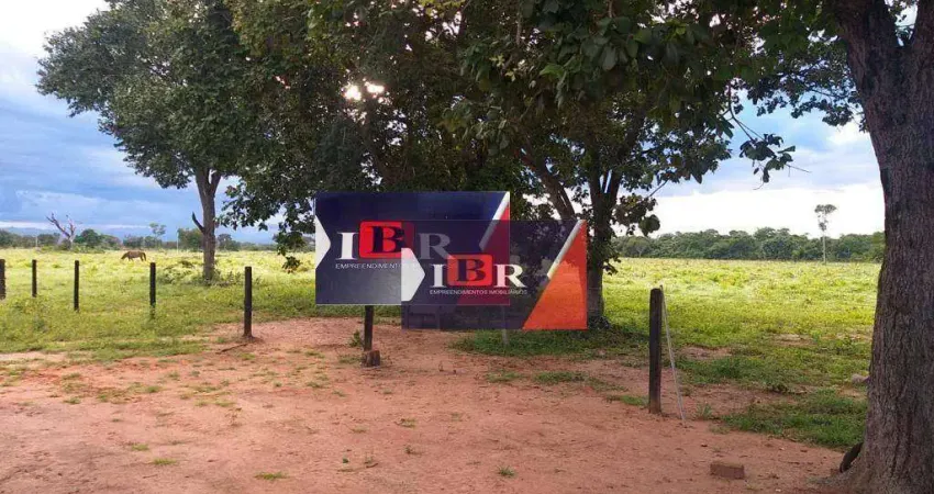 Fazenda em Ribeirão Cascalheira - MT