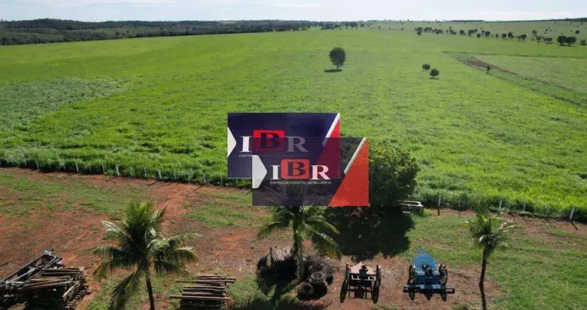 Fazenda à venda na Zona Rural, Barra do Garças 