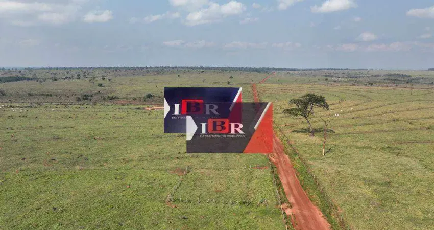 Fazenda à venda na Zona Rural, Caracol 