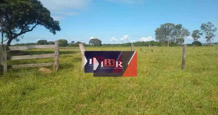 Fazenda à venda na Três Fronteiras, Nova Alvorada do Sul 